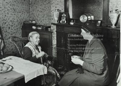 Health visitor calling on elderly lady